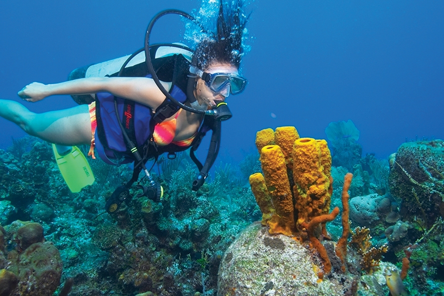SCUBA DIVING 